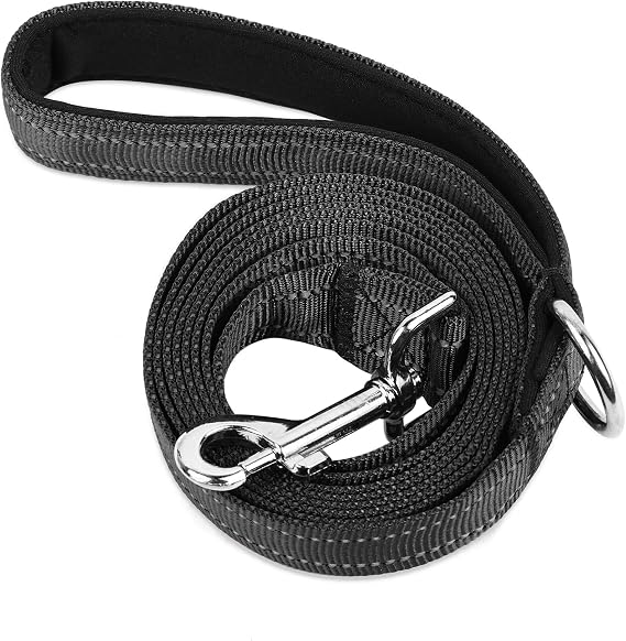 Double-Sided Reflective Nylon Dog Leash, 6 FT/4 FT/5 FT,(Black, 5FT) | Soft Padded Handle,Heavy Duty,Durable D Ring,360Metal Buckle,For Medium and Large Dog Walking and Training