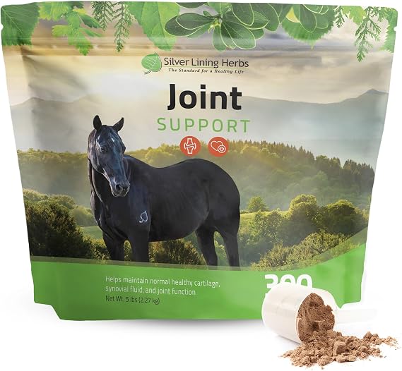 Silver Lining Herbs Horse Joint Supplement - Mobility & Comfort, 5 lb | Horse Joint Supplement, Ginger, Burdock & Herbal Blend, Mobility, Flexibility & Comfort, NASC Certified, Made in USA