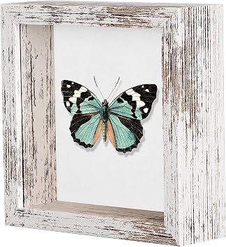 Califortree 5x5 Small Shadow Box Picture Frame with Soft Linen Back - Push Pins Included, Memory Shadow Box Display Case for Bouquet Awards Medals Wedding Photos and More, Rustic White