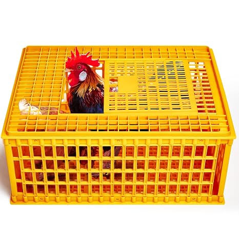 Irenare Poultry Carrier Crate 29.5 x 21.7 x 13 Inch Heavy Duty Poultry Transport Crate Plastic Chicken Transport Cage Chicken Crates Box with Sliding Door for Bird Duck Goose, Yellow