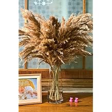 10 Pieces Fluffy Pampas Grass 100cm Natural Dry Pampas Decor Boho Room Flowers Decoration