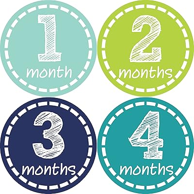 Baby Monthly Milestone Stickers - Newborn Boy Stickers Style 113