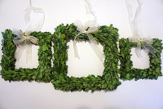 Preserved Boxwood Square Mini Wreath 6", 8" and 10: Set by Tradingsmith