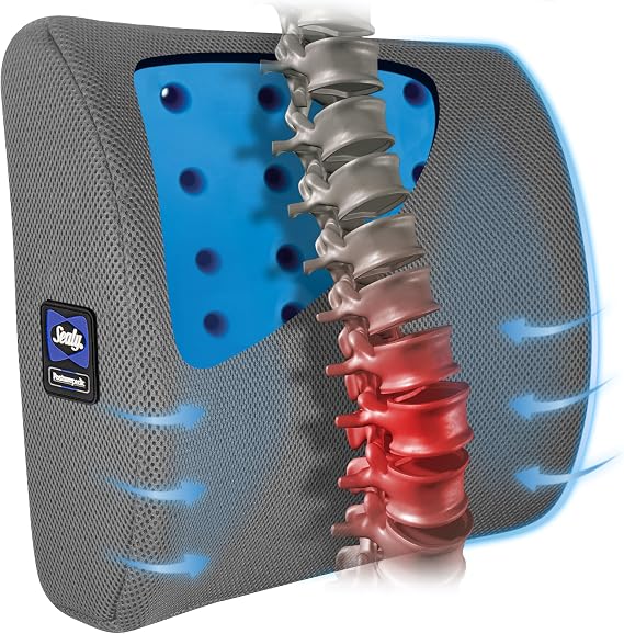Sealy Lumbar Support Pillow with Cooling Gel Ergonomic Office Chair Cushion for Back Support Memory Foam Back Pillow for Car, Office, or Home, Gray