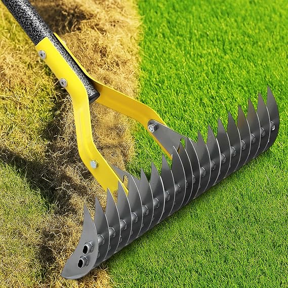 Dual-Action Thatch Rake for Lawn - Efficient 15" Thatching Rake with Sharp Dethatching Blade,Manual Dethatcher & Scarifier Tool for Dead Grass Removal,Soil Loosening,Garden Yard Lawn Care,55" Long